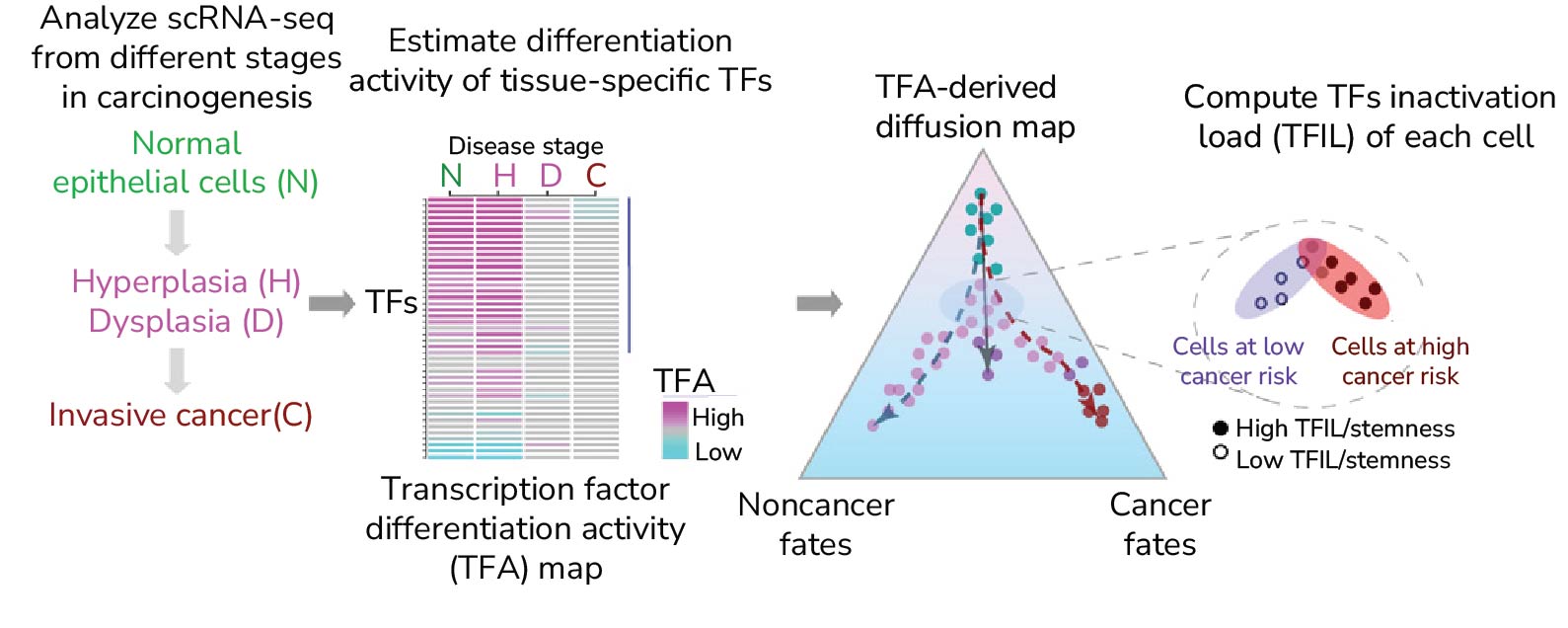 Cancer Systems Biology at Single Cell Resolution