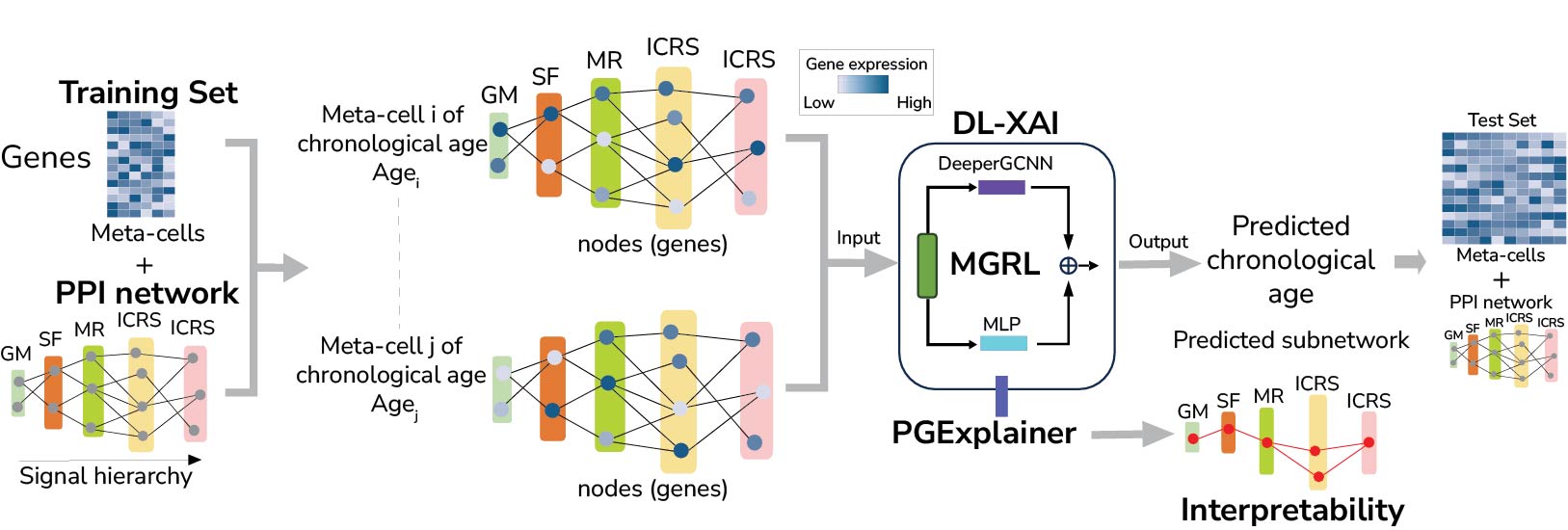 Systems Biology of Aging